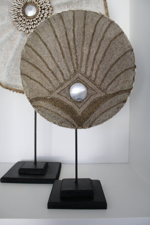 African Shield "Mermaid shell" beige.